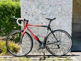 RIDLEY Damocles Carbon Rennrad mit Campagnolo Chorus 11, M