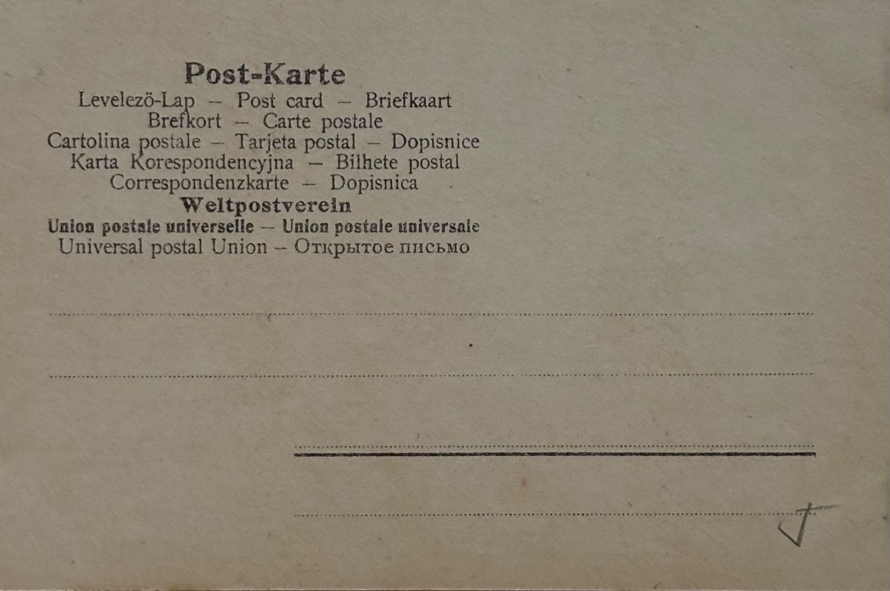 Cartoline postali: Fotokarte, Pferd, Fohlen – Usato da Frauenfeld venduto da Merk52 1