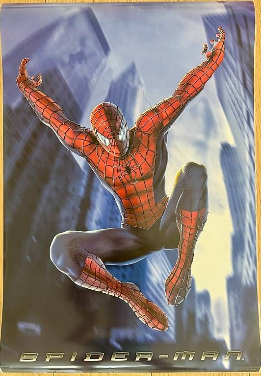 Foto & Immagini: Spiderman Poster – Usato da Dietikon venduto da inf_xq5h 2
