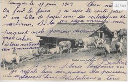 Chalet dans les Alpes - Kühe, vaches