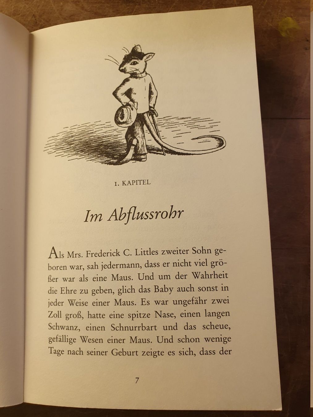 Libri: Klein Stuart - E.B. White – Usato da Zürich venduto da loosebone 5
