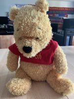 Winnie the Pooh (Original aus Walt Disney World Florida)