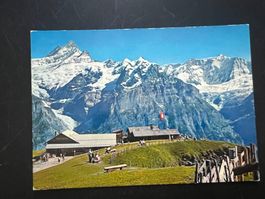 AK Grindelwald First  ungelaufen (G5431)