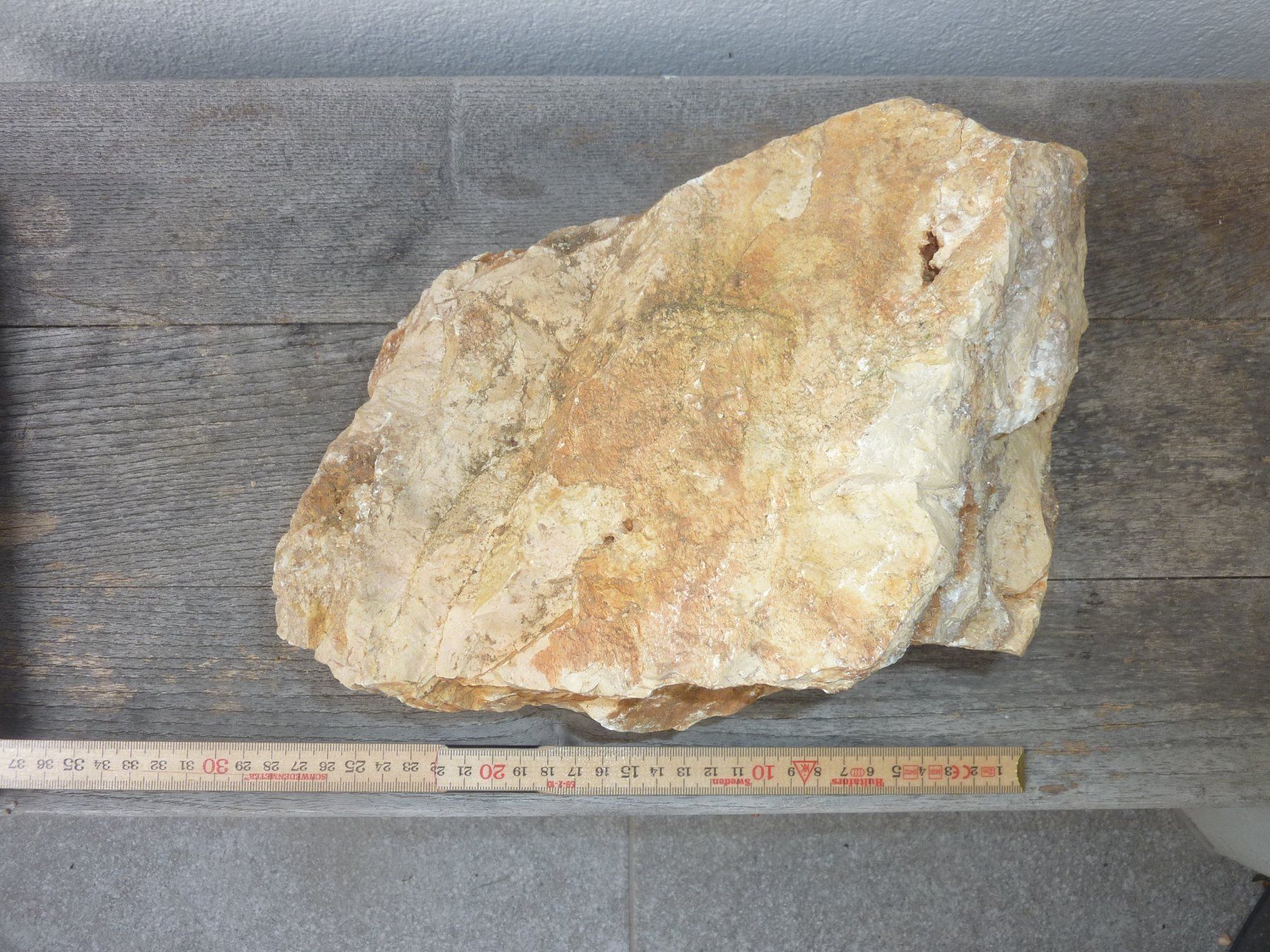 Fossili: Grosse, versteinerte Koralle, Rohstein – Nuovo (secondo la descrizione) da Triengen venduto da Nussbaum14 4