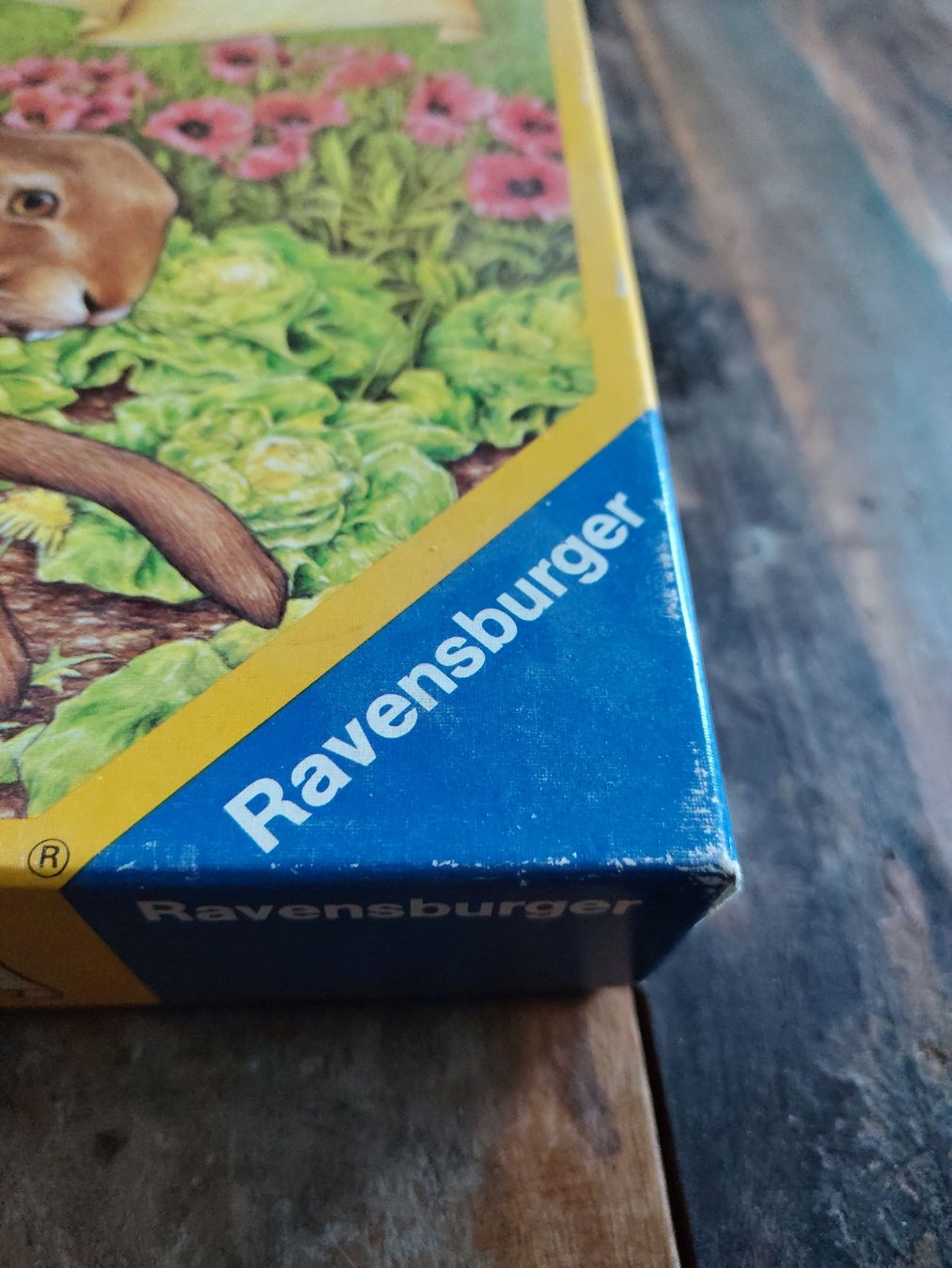 Ravensburger Giochi: Hase und Igel Spiel – Usato da Olten venduto da so.bi 1