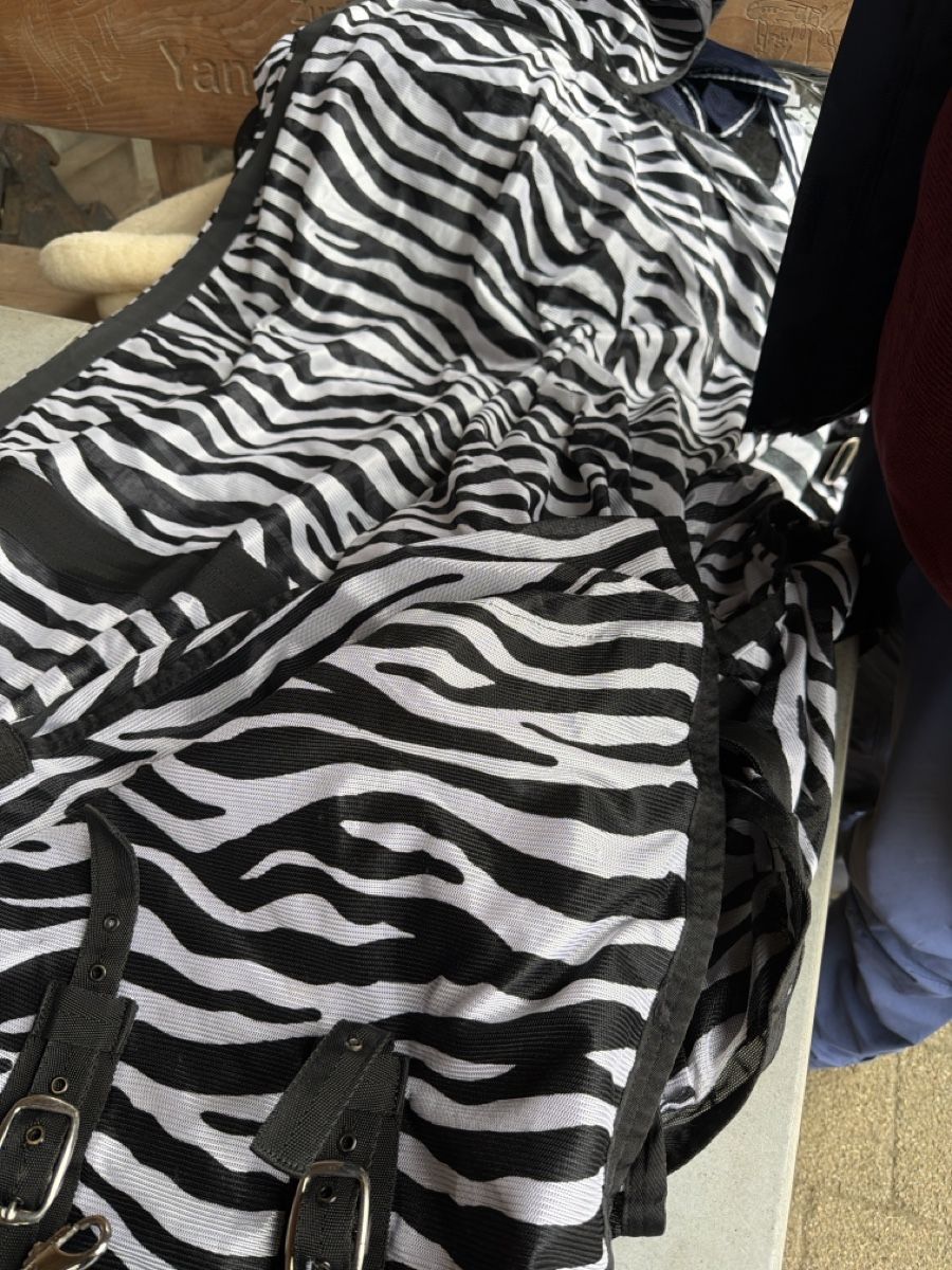 Coperte & Accessori: Pferdedecke Zebra Muster Grösse 155 gebraucht – Usato da Zofingen venduto da roki_ch 1