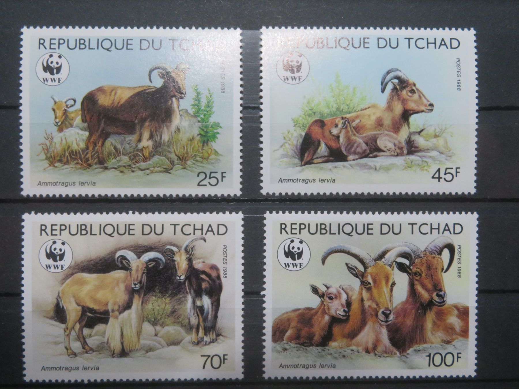 Tutti i francobolli: Tschad Mi 1171-74** Mähnenspringer – Nuovo (secondo la descrizione) da Spreitenbach venduto da heitersberg54