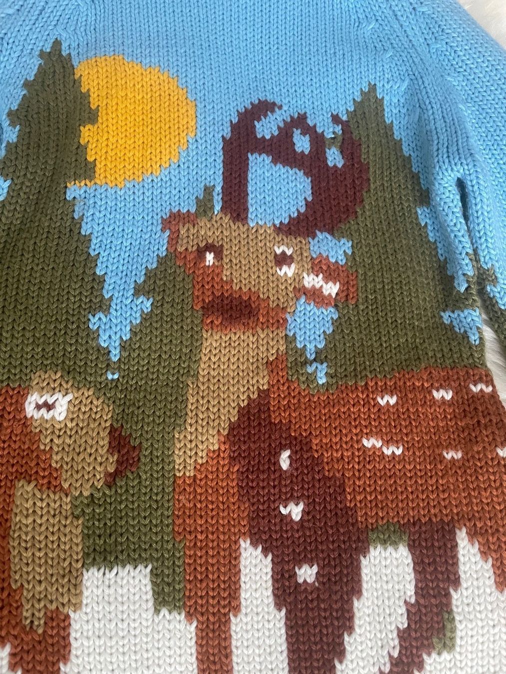 Maglioni & Felpe: Winterkleid / Pullover – Nuovo (secondo la descrizione) da Mühlethurnen venduto da Fudoshin1 1