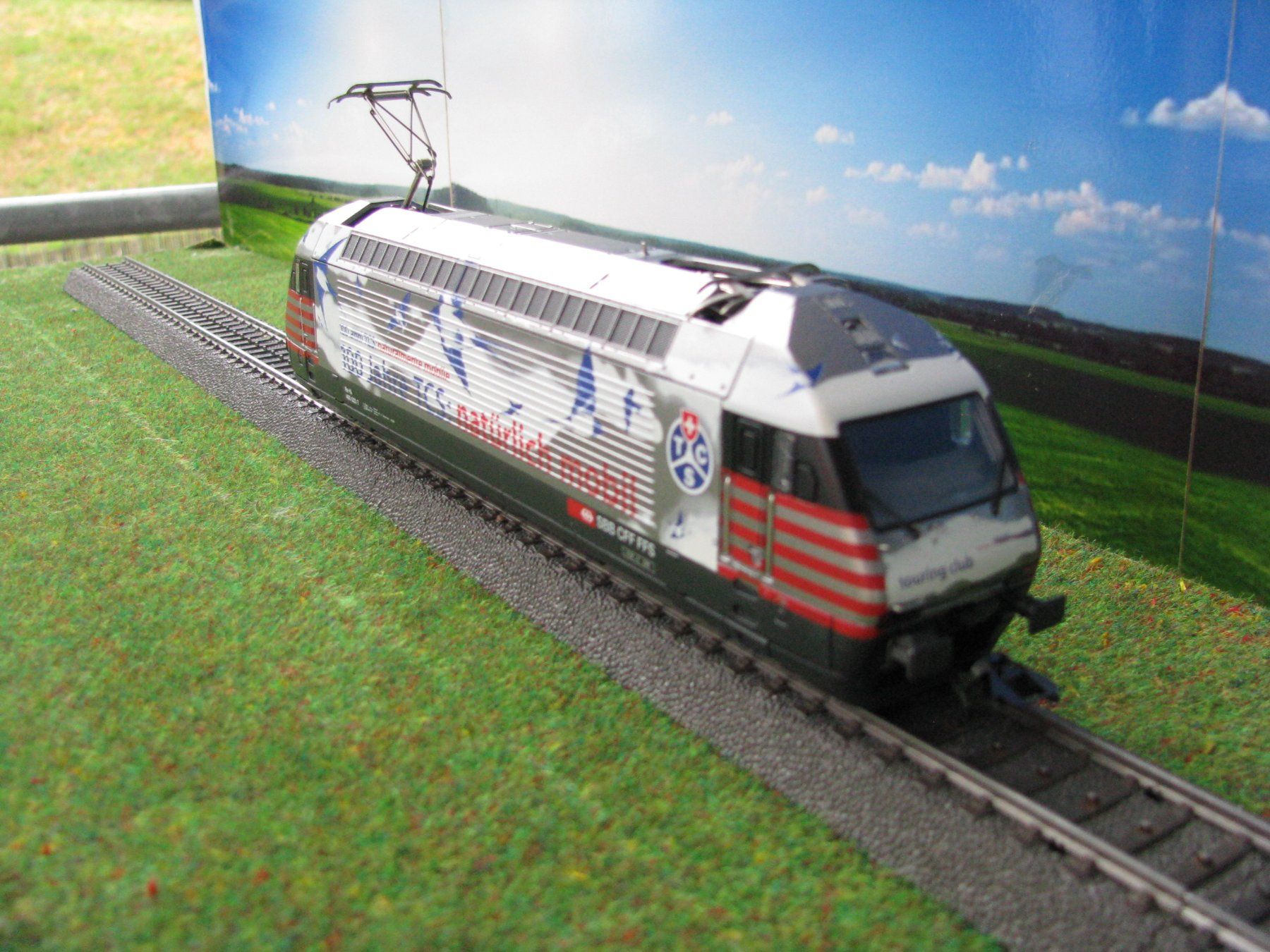 Märklin Modellini di ferrovie: 6 Märklin Digital-Lokomotiven – Usato da Schaffhausen venduto da Canopus01 3