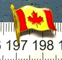 KANADA CANADA WAPPEN SCHMUCK ANSTECKNADEL GOLDIG GLASIERT