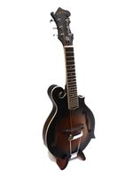 GOLD TONE F6 Mando-Guitar