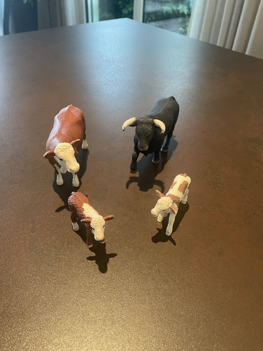 Schleich Statuette: Schleich Kühe – Usato da Walchwil venduto da Pirib82