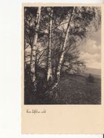 Fotokarte kein Lüftchen weht 1933