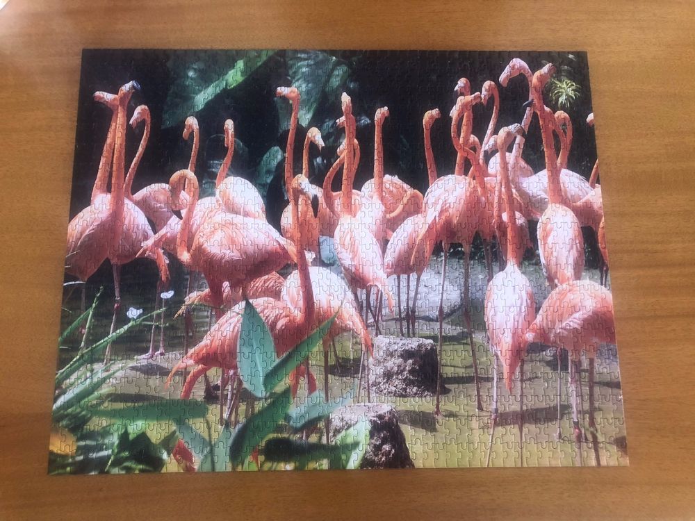 Puzzle World Puzzle: 1000 Teile: Karibische Flamingos (Gebraucht) in ...