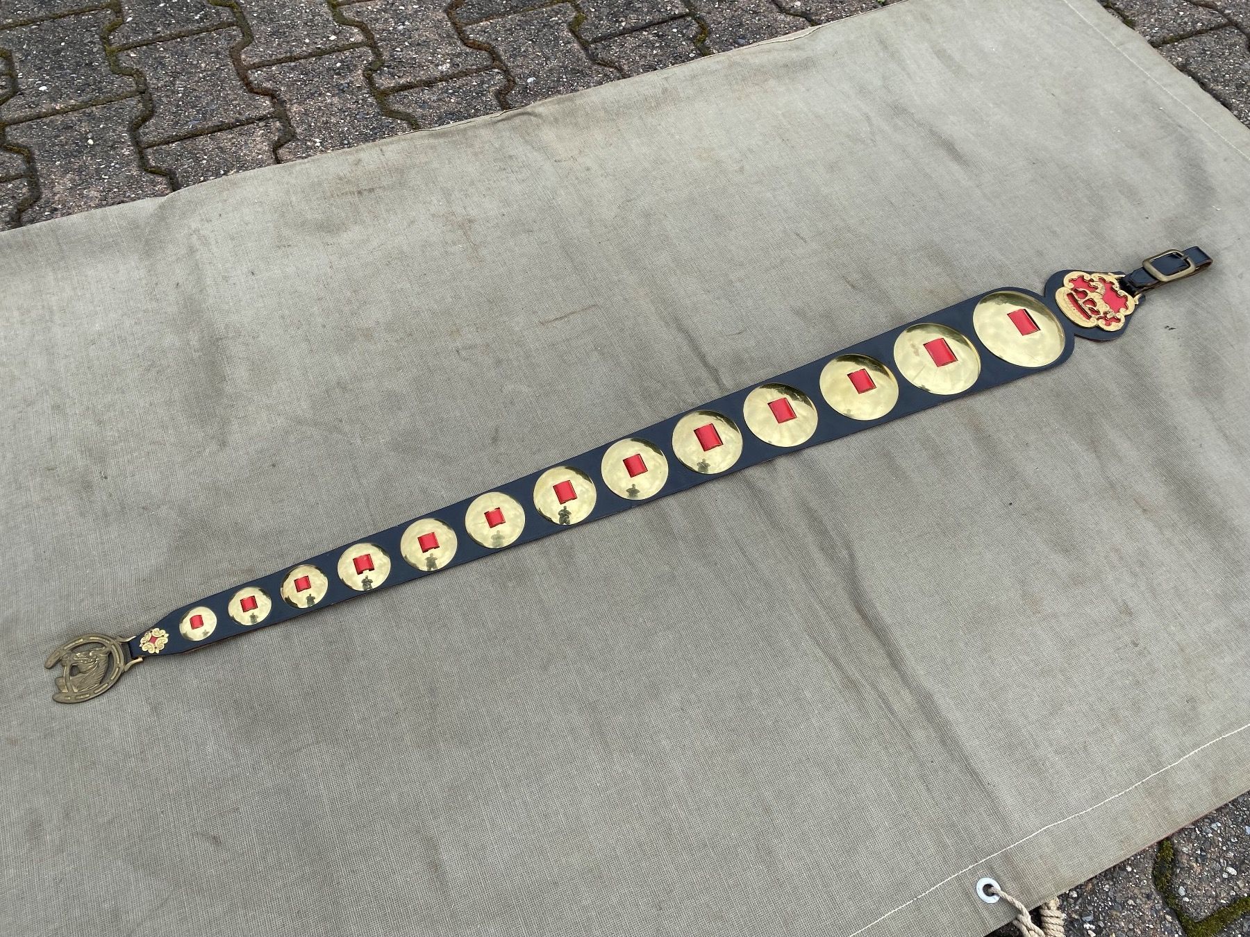 Campanacci mucche: schöner Staatsriemen mit Messing Rosetten – Usato da Feldbach venduto da Fea1 1