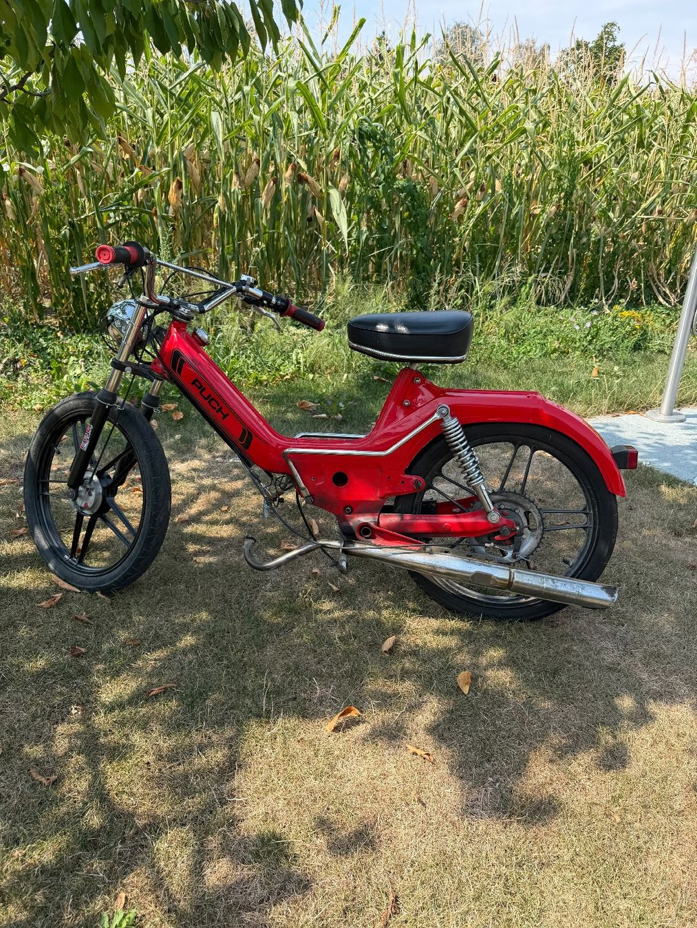 Puch Ciclomotori: Puch Super Maxi LG1 – Difettoso da Boswil venduto da EMS09