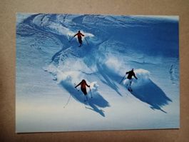 Ak Abfahrer Skifahrer im Neuschnee