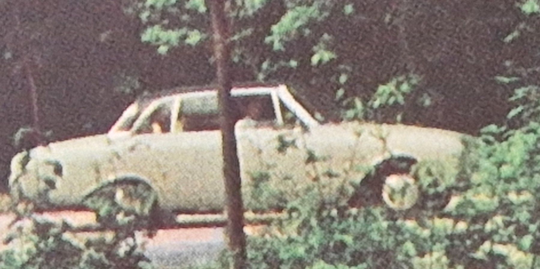 Cartoline postali: Safaripark Zebra 1974 Arnhem – Usato da Melchnau venduto da Fishel 1