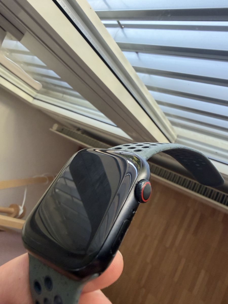 Apple Smartwatch: Apple Watch Series 9 45mm 4G – Usato da Fribourg venduto da dbs_tmn8 5