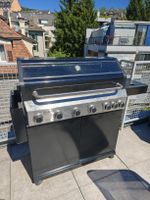 Gas BBQ Grill fireking