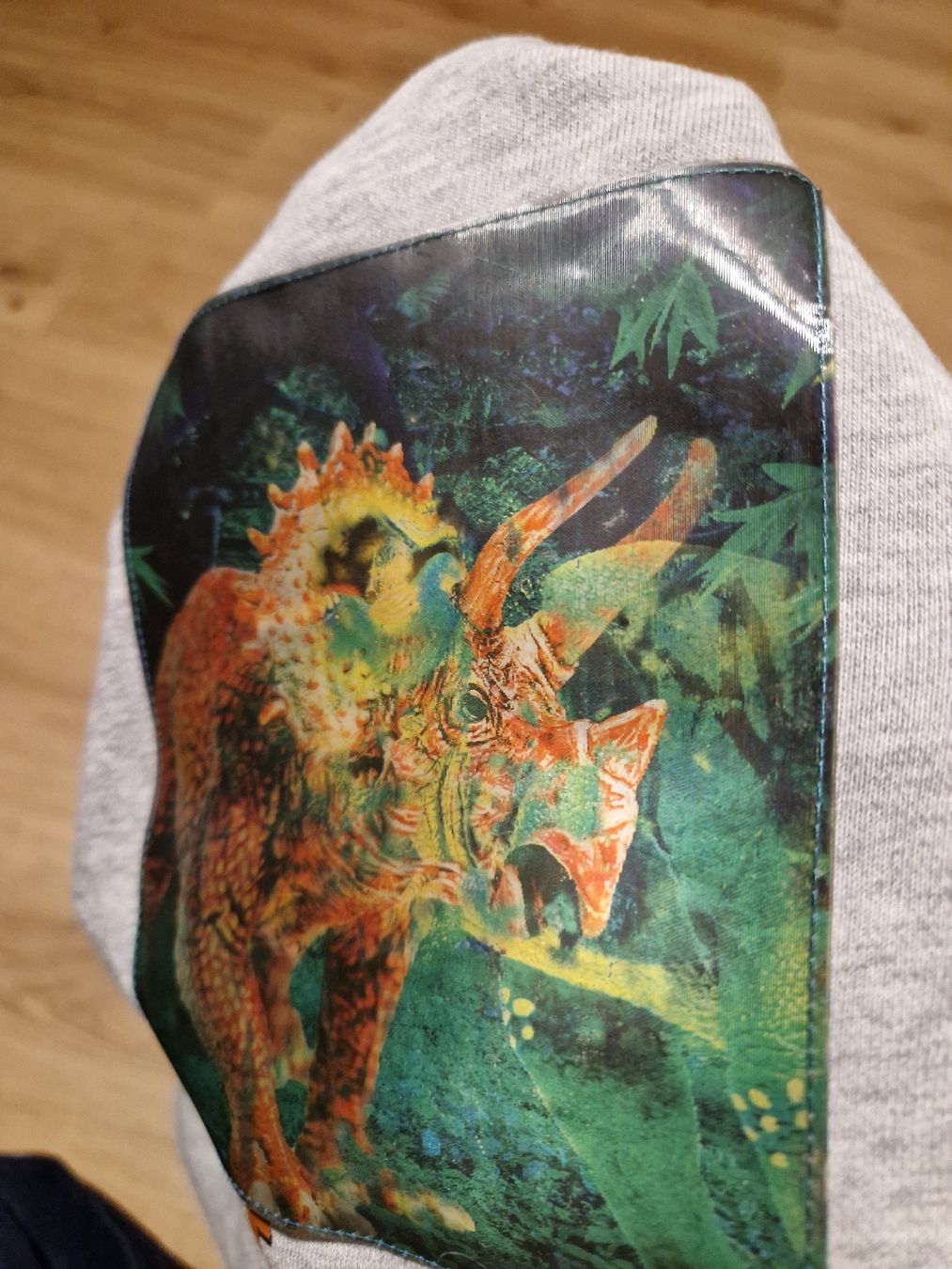 H&M Pullover & Sweatshirts: Dino Pulli Pullover Gr. 110 – Gebraucht aus Wimmis von traubenq 1
