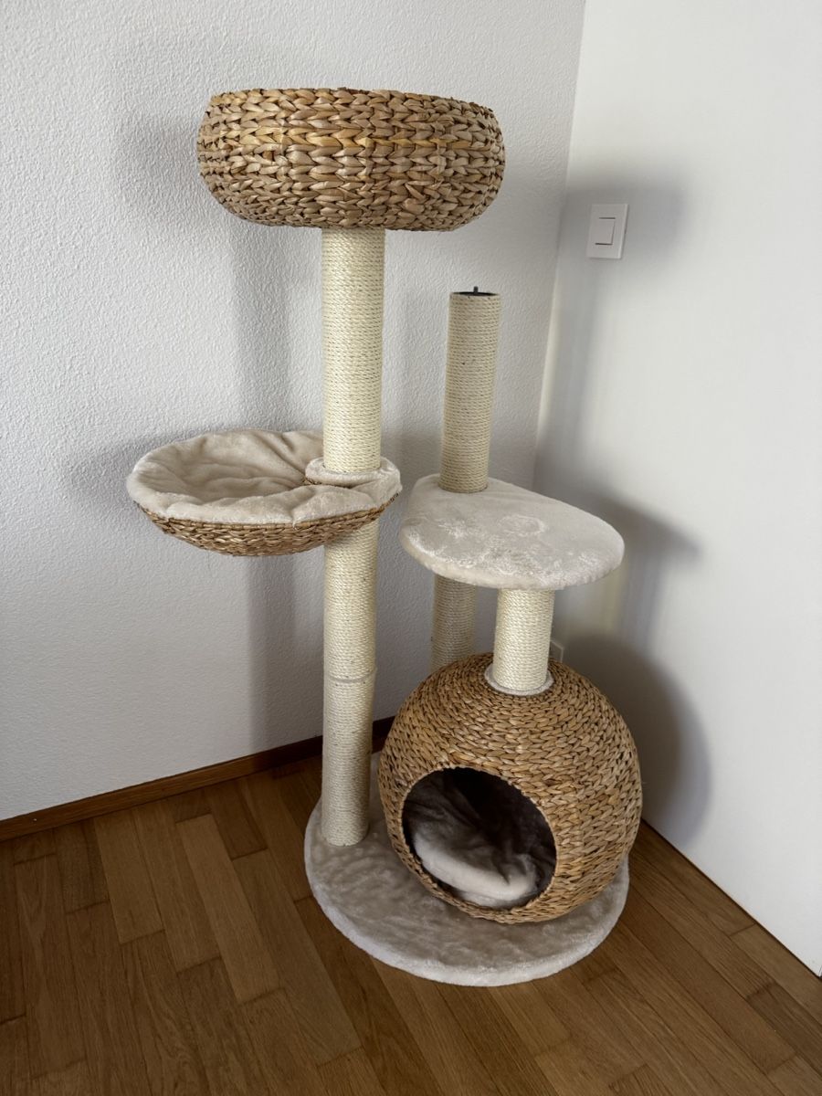 Tiragraffi: Kratzbaum für Katzen – Nuovo (secondo la descrizione) da Urtenen-Schönbühl venduto da m19_2fdb