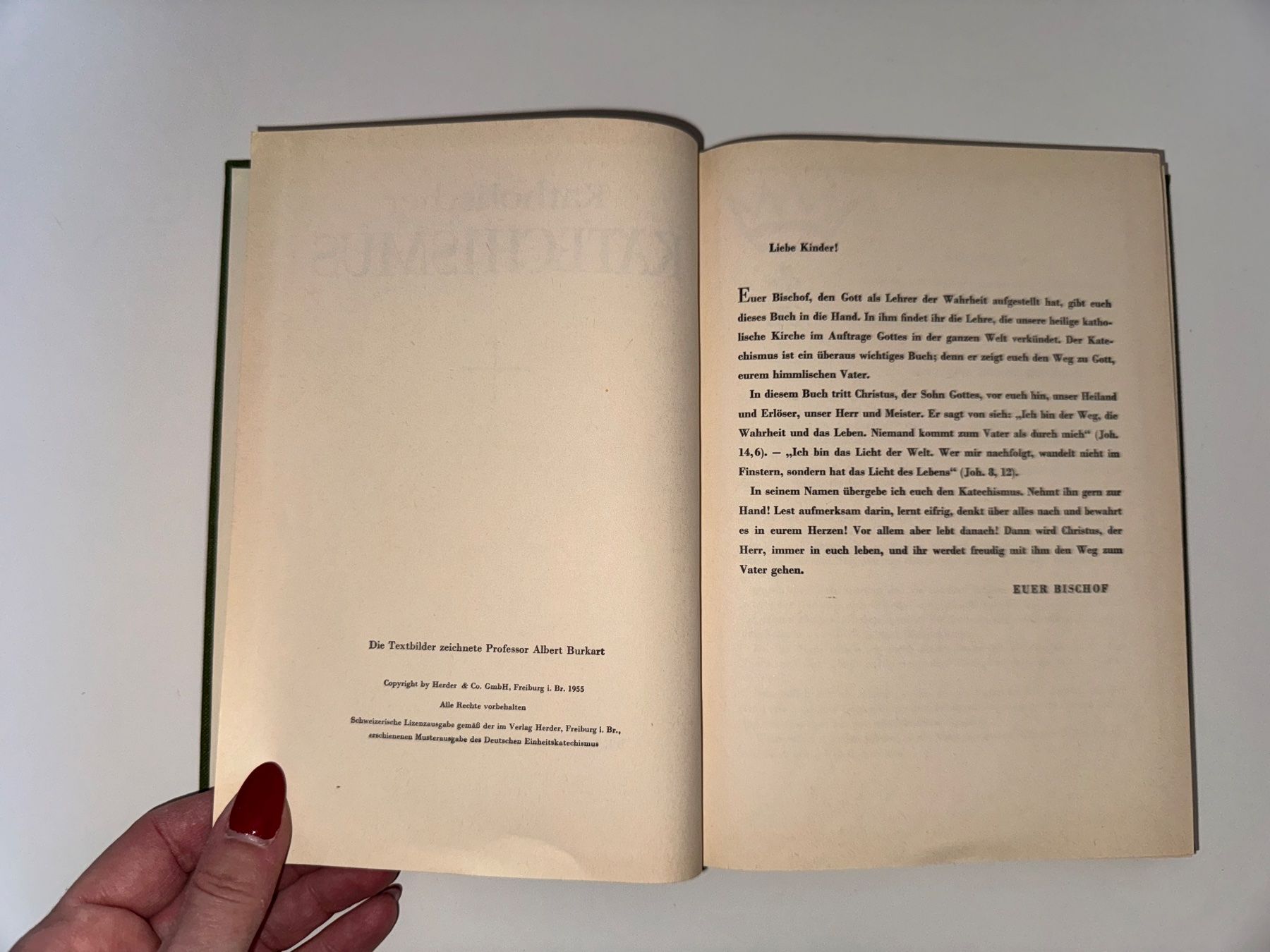 Libri: BUCH: Katholischer Katechismus, 1955 – Usato da Grosswangen venduto da Second_hand_paradise 2