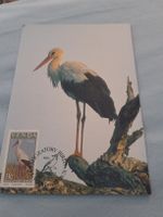 Carte postale cigogne, timbre "Migratory Birds" 1984