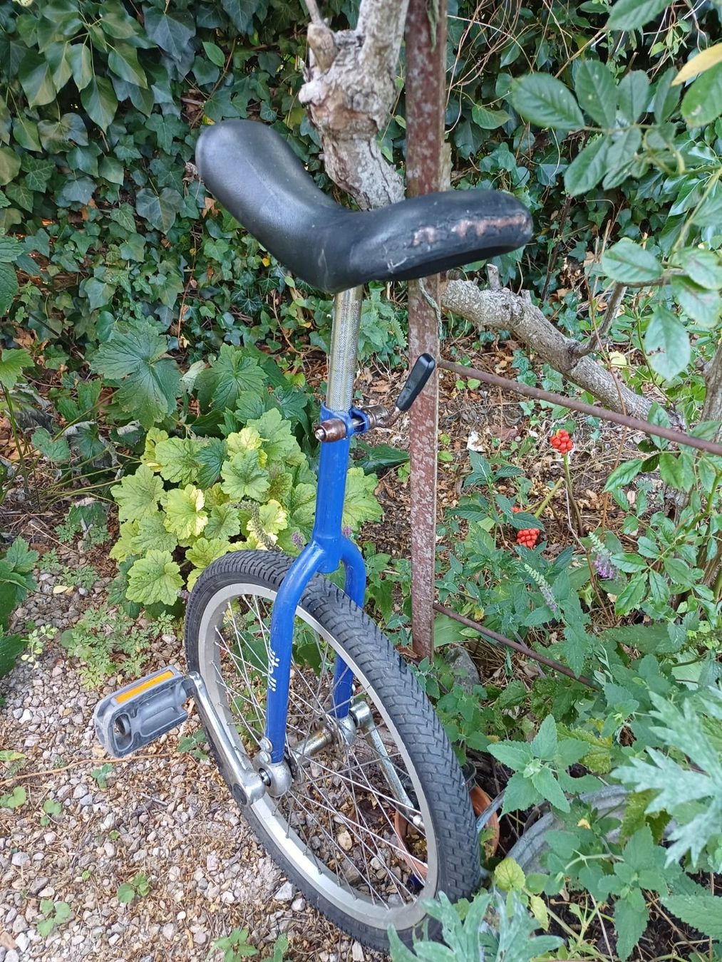 Biciclette: Einrad (Marke vitelli) – Usato da Liestal venduto da beelzebub