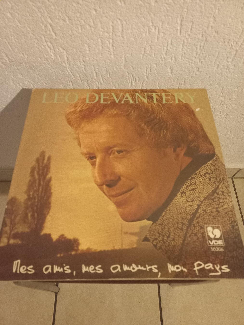 Dischi in vinile: Vinyle Leo Devantéry "Mes amis, mes amours, mon pays"! – Usato da Moutier venduto da mus_7vbp