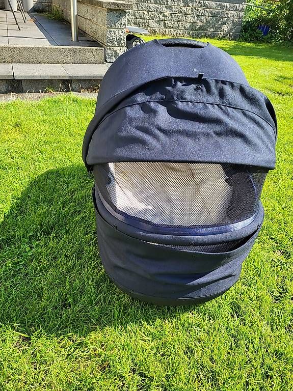 Kinderwagen: Cybex Priam Lux Carry Cot Babyschale – Gebraucht aus Ebikon von Linkus 1