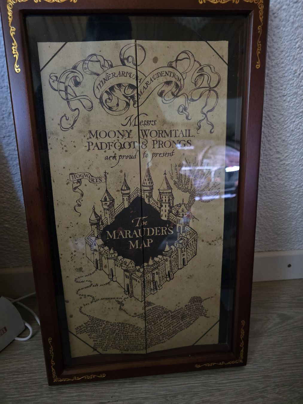 Cartoline: karte des rumtreibers – Usato da Bronschhofen venduto da ghostman55