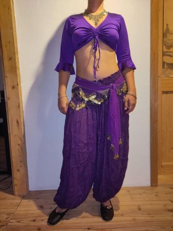 Bauchtanzkostüm: Oberteil, Hose, 2 Gürtel, Schleier, Schmuck