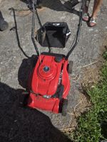 Benzin Rasenmäher Einhell GC-PM 4700-2 E, 2021