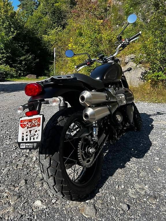 Triumph Strada: Triumph Street Scrambler mit Sonderlackierung – Usato da Kehrsiten venduto da NNfR72 3