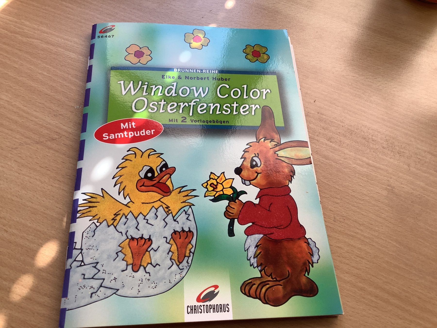 Libri: Window Color Osterfenster – Usato da Saas-Balen venduto da kircin