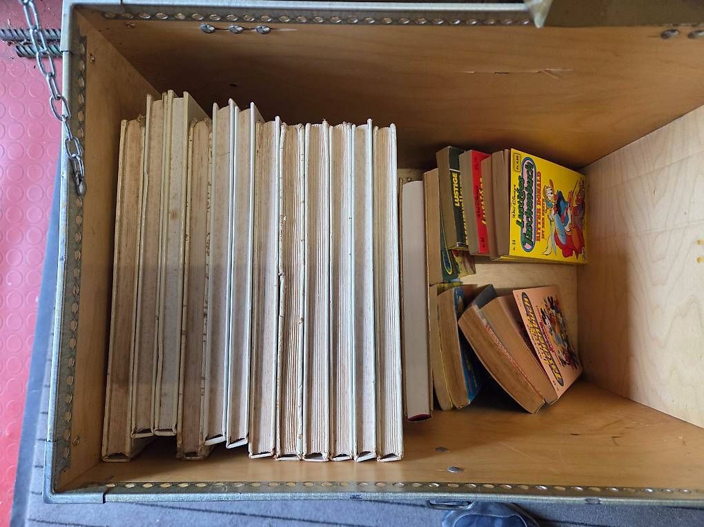 Livres: Mickey Mouse Bücher – D'occasion à Basel par mtu_gmj2 2