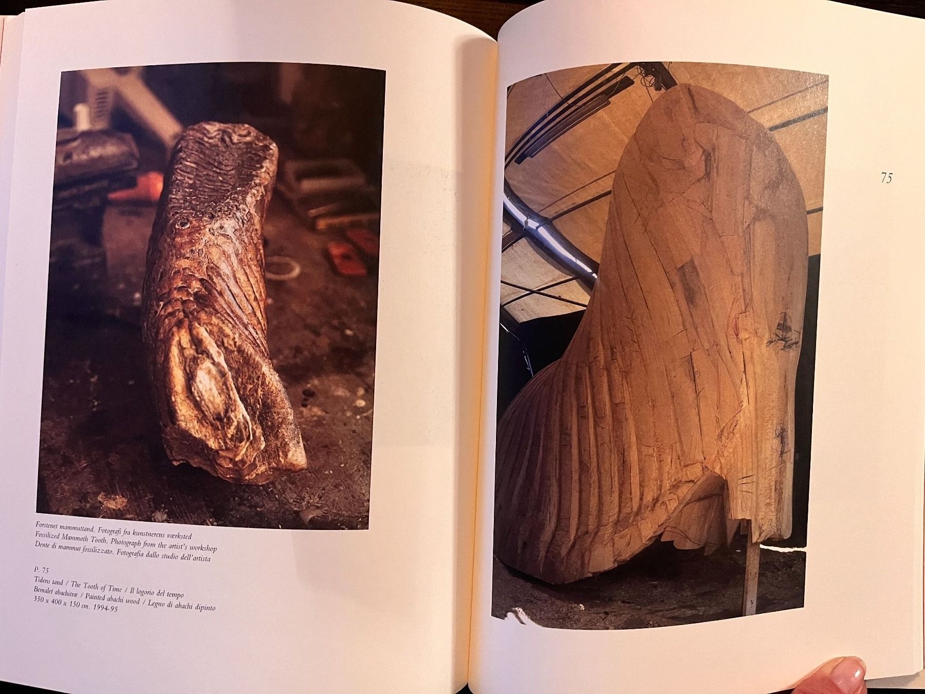 Libri: John Olsen - Danimarca – Usato da Lausanne venduto da Kinga_Shopaholic 7