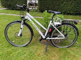 Saxxonette E-Bike X-Road 50 cm