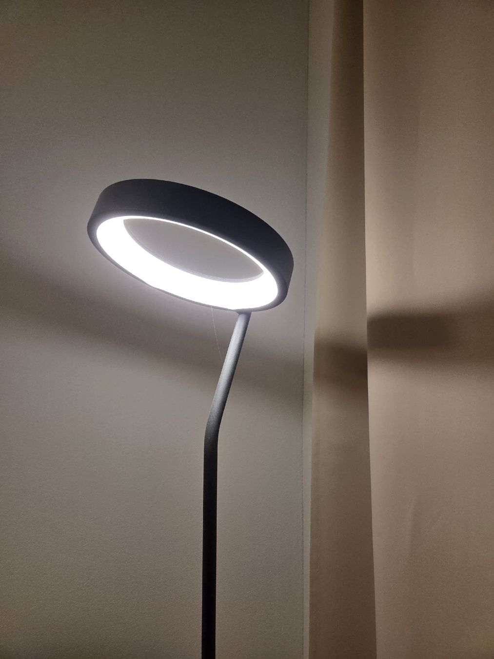Lampen: Black LED Ring Floor Lamp 160cm – Gebraucht aus Horgen von Hunninko 2
