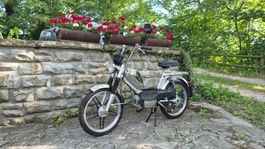 Kreidler Flory MF 21