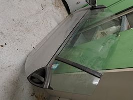 Türe vorne Links zu eimem Smart 450 Gabi
