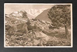 AK Aus dem Engadin Piz Palü von Alp Languard