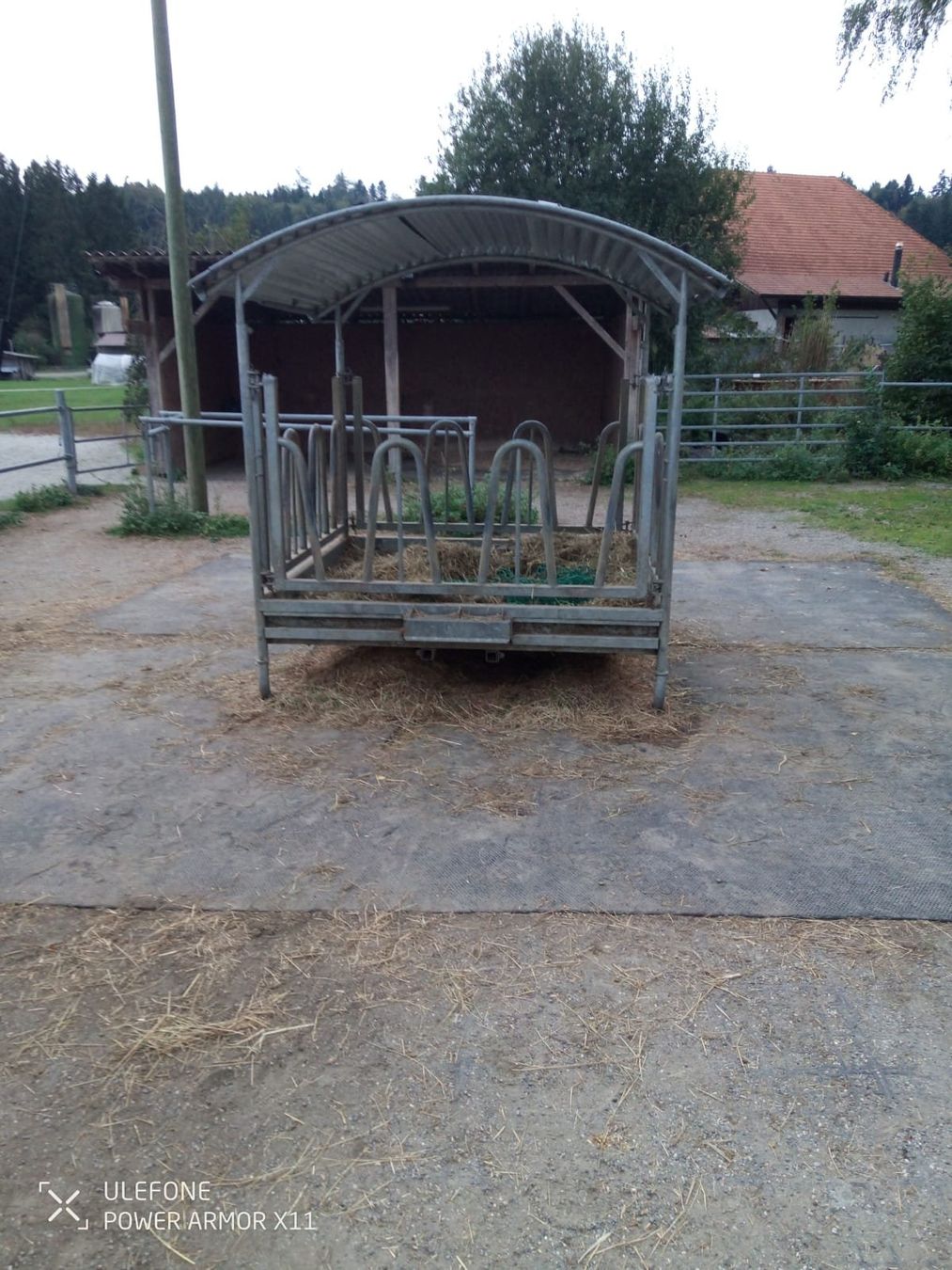 Altro in Accessori per animali: Pferde-Heuraufe mit Netz und Gummimatten – Usato da Grossaffoltern venduto da wee2821 2