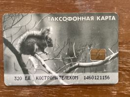 Telefonkarte Russland. Eichhörnchen