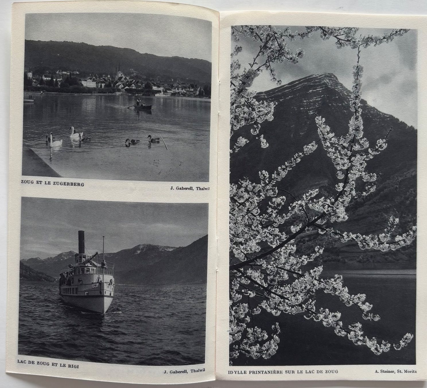 Ansichtskarten: Zug, Menzingen, Walchwil, Baar, Immensee, Albert Steiner – Gebraucht aus Frauenfeld von Merk52 2