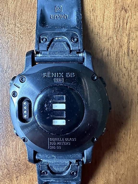 Garmin Smartwatch: Garmin Fenix 6s Pro – D'occasion à Bern par les_ytz5 3