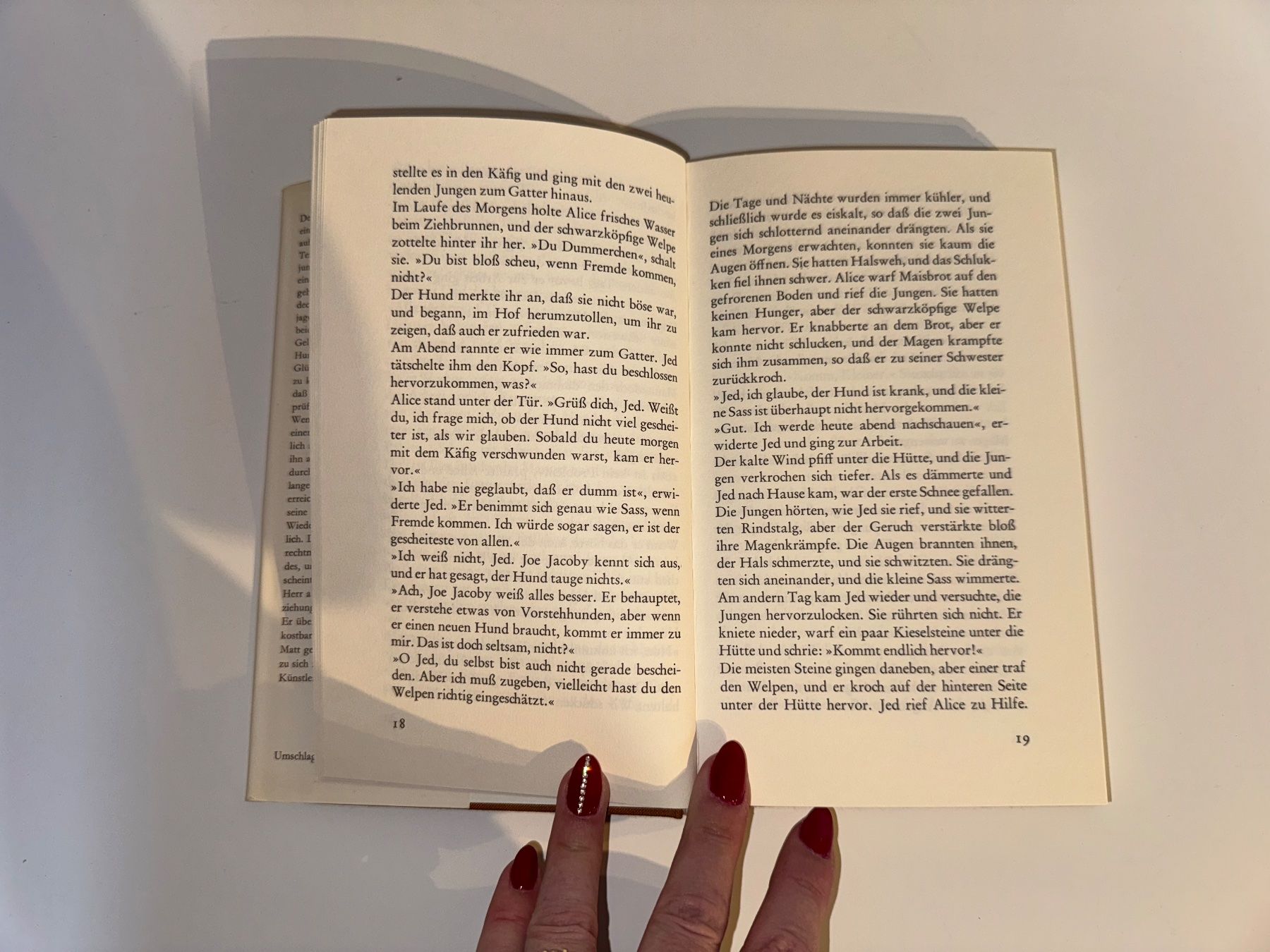 Livres: Buch: Junius Watson, Joe der Setter – D'occasion à Grosswangen par Second_hand_paradise 2