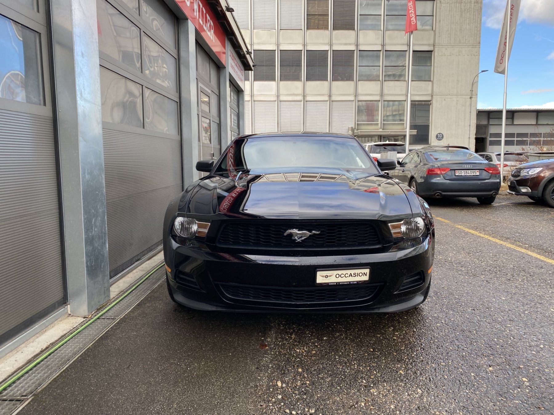 Ford Automobili: Ford Mustang 3.7 V6 Automatic – Usato da Biel/Bienne venduto da AS24 1