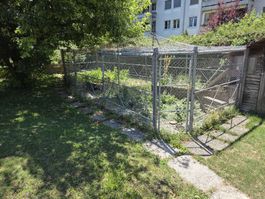 Hühnergehege oder Hundezwinger.  selbsstehend 2m x 25m Zaun